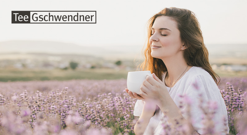 TeeGschwendner
