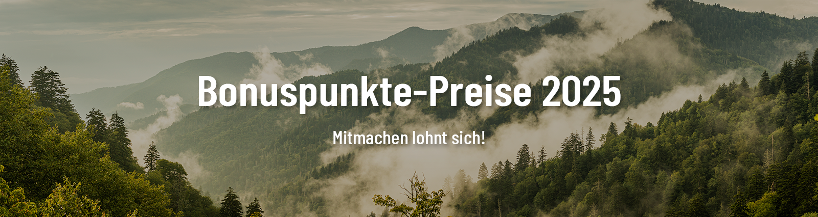 Raibu.de