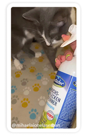 Bactador® befreit Deinen Katzenhaushalt von unangenehmen Gerüchen!
