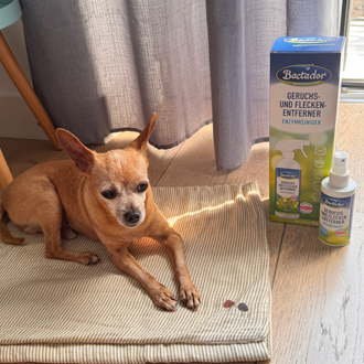 Bactador® Geruchs- und Fleckenentferner Spray