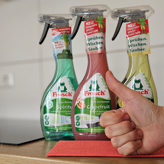 Frosch Reinigungsprodukte